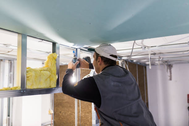 Professional Insulation Contractor in Kualapuu, HI